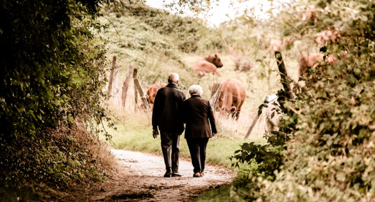 7 Important Health Tips for Seniors to Know